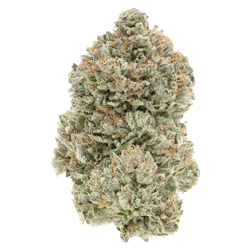 1964 - Stinky Pinky - 7g Flower